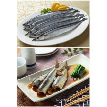 Alta qualidade peixe saury fresco congelado